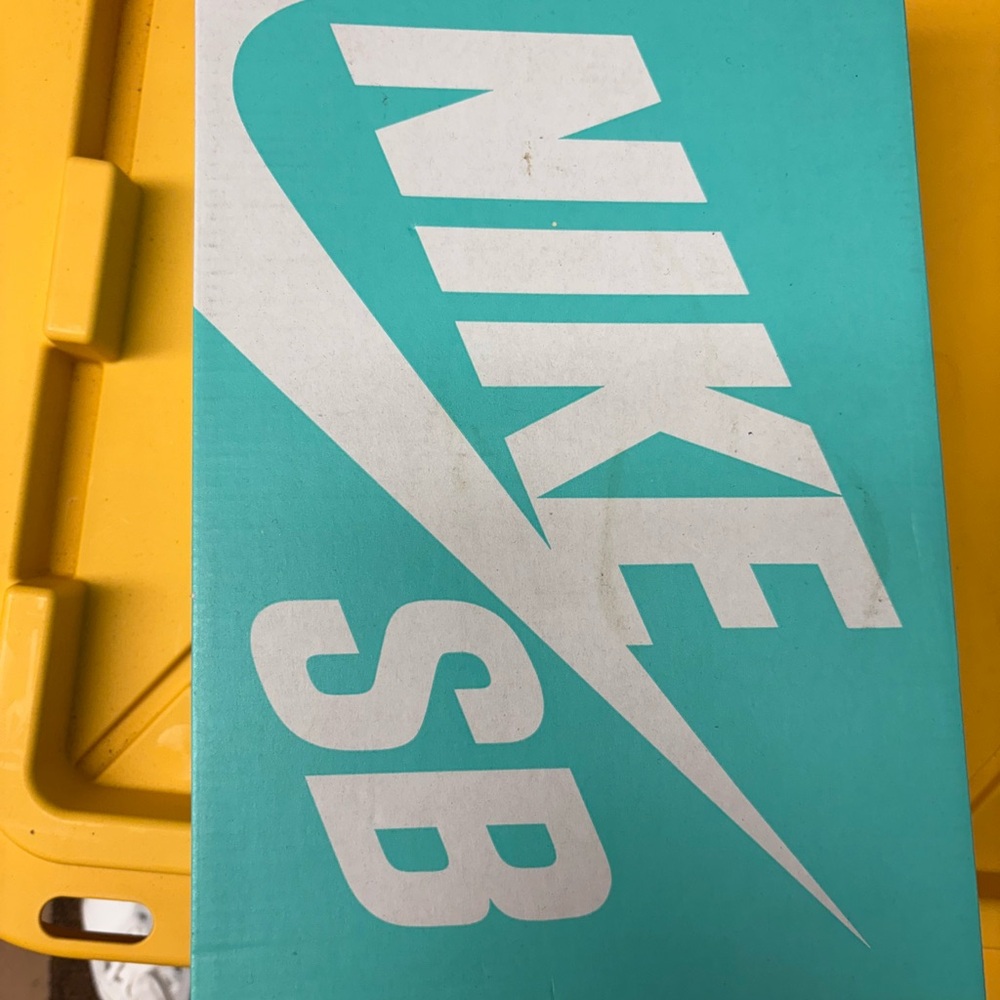 Nike SB Teal and White Box